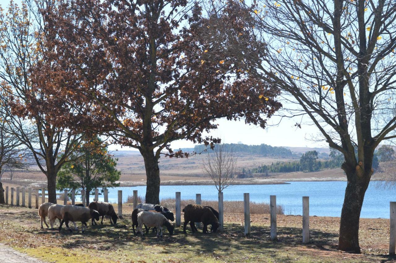 Dullstroom On The Dam Екстериор снимка